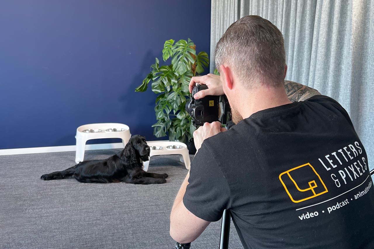 Dimi Ferrest Letters & Pixels employer branding video Moderna Products